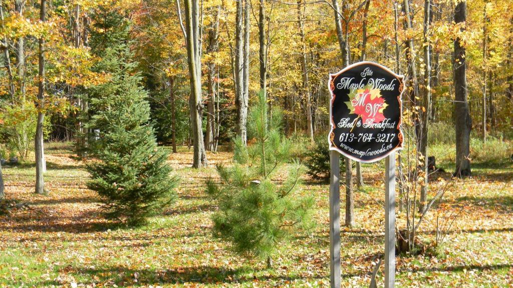 Maple Woods Panzió Casselman Kültér fotó